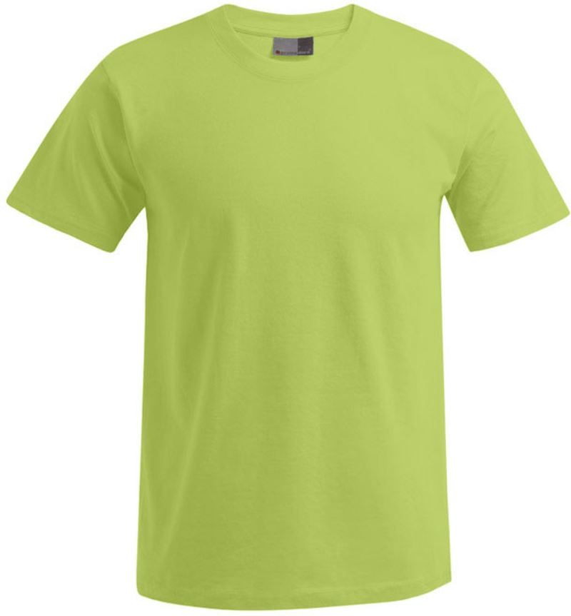 Herren Premium T-Shirt Promodoro | 3099 (XS-6XL)