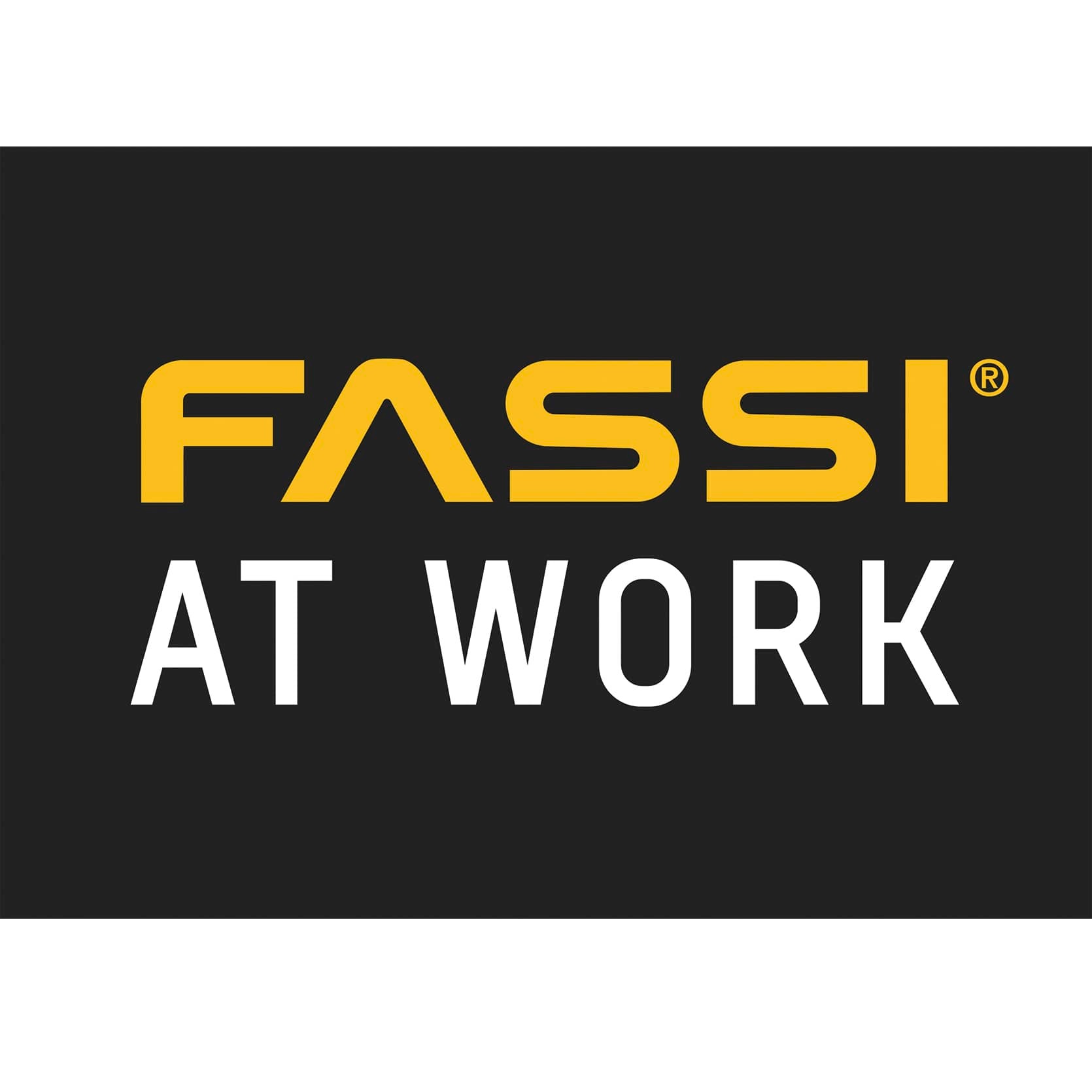 FASSI AT WORK