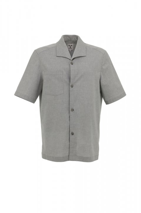 grigio cenere chiaro