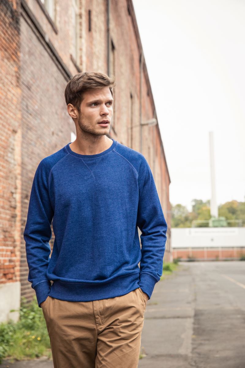 Herren Raglan Sweater Daiber | 8022
